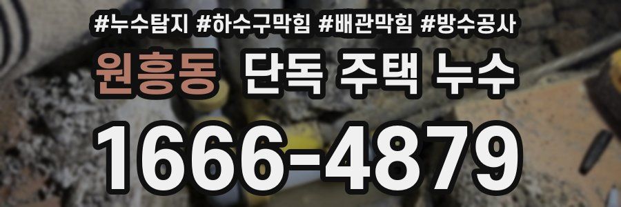 원흥동 단독 주택 누수