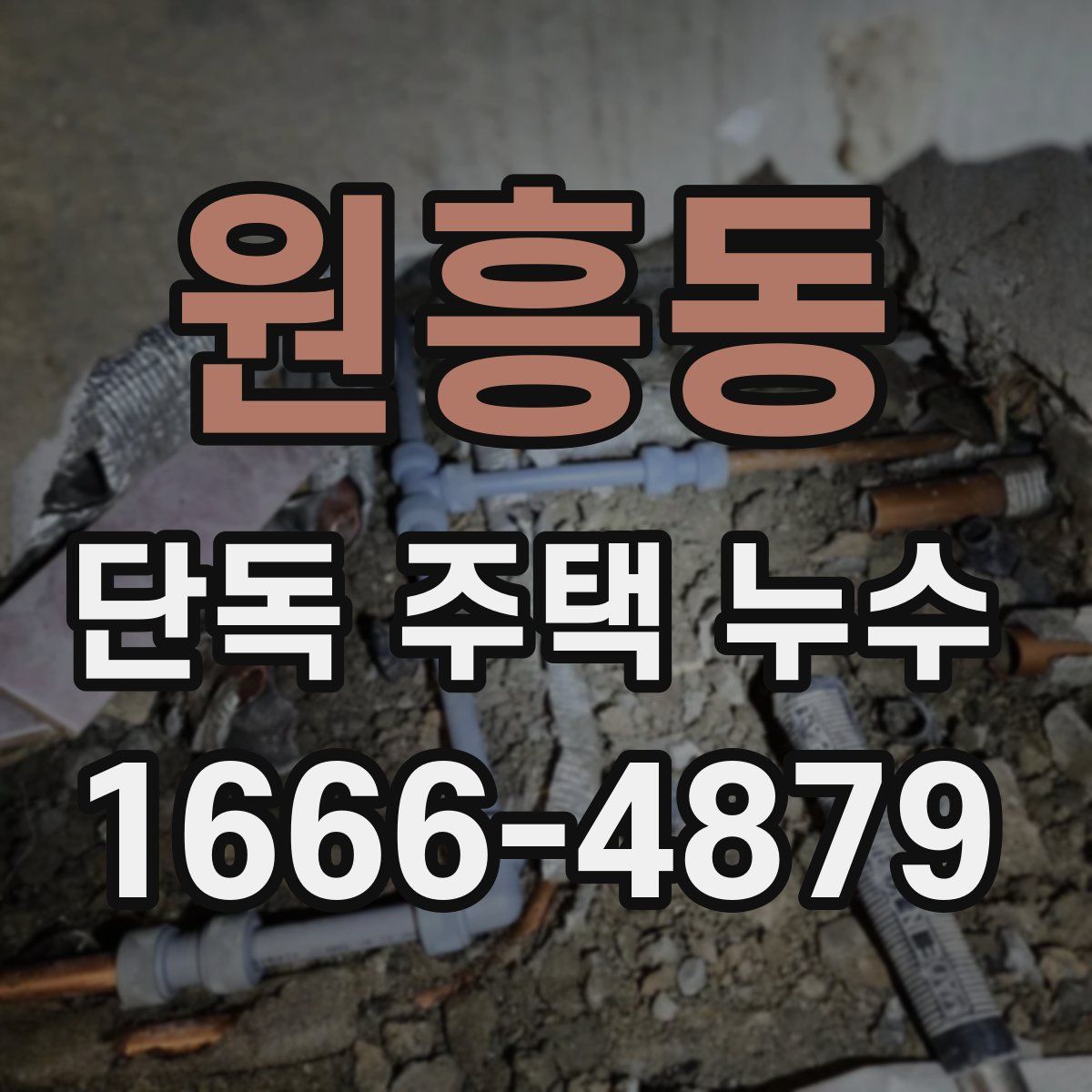 원흥동 단독 주택 누수