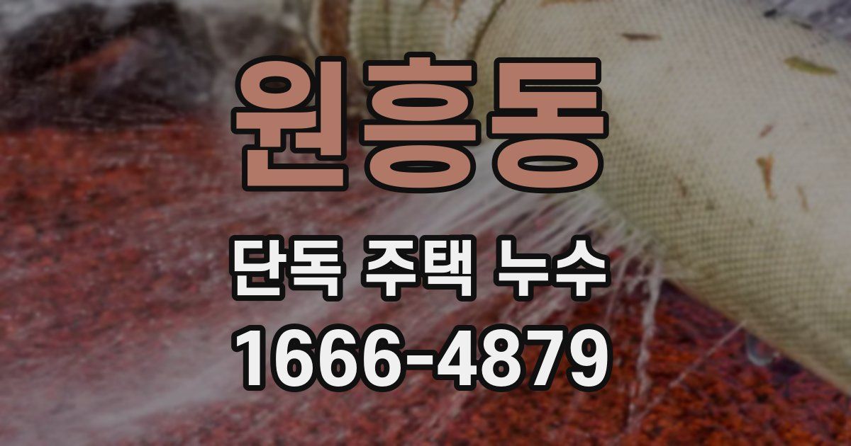 원흥동 단독 주택 누수