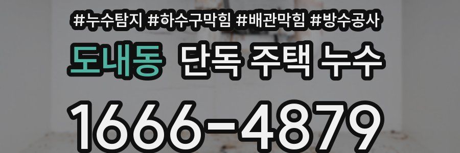 도내동 단독 주택 누수