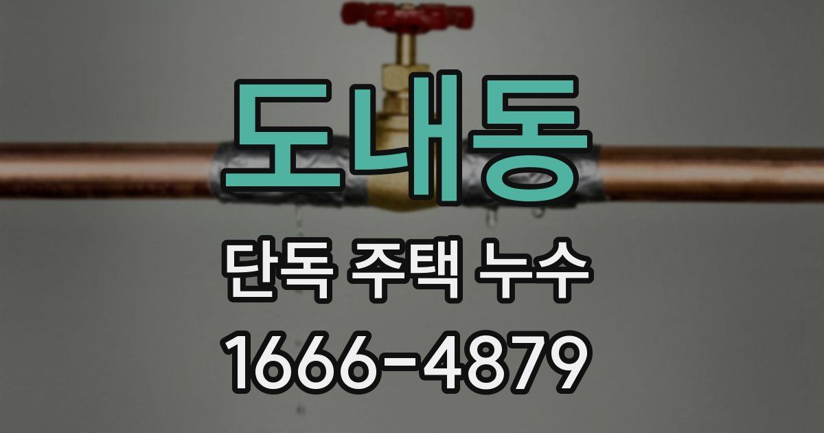 도내동 단독 주택 누수