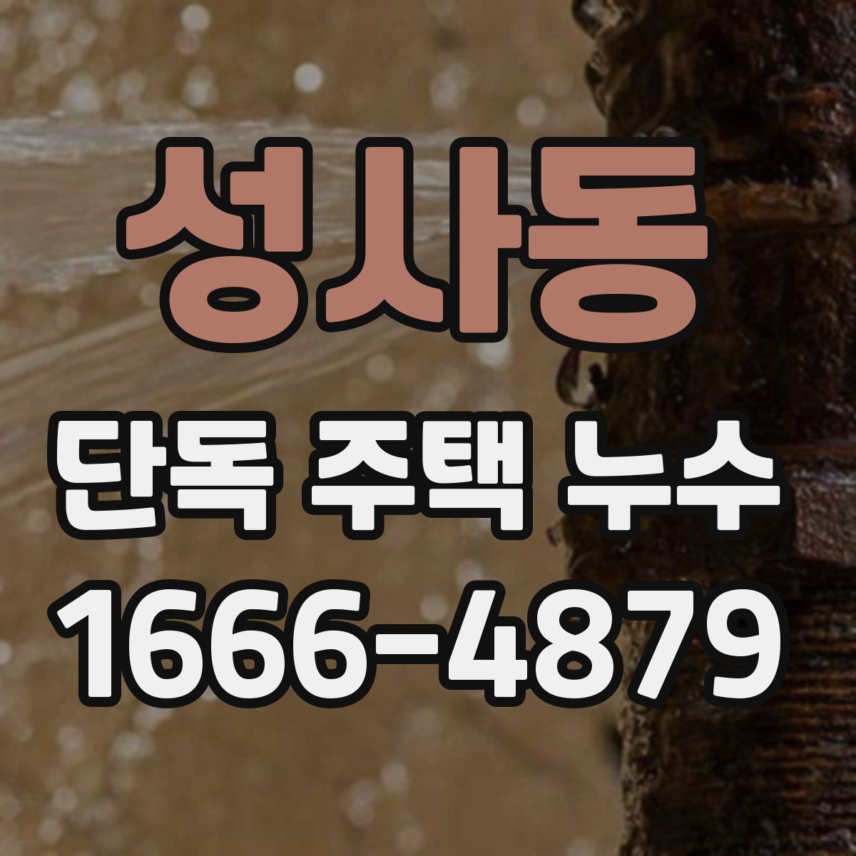 성사동 단독 주택 누수