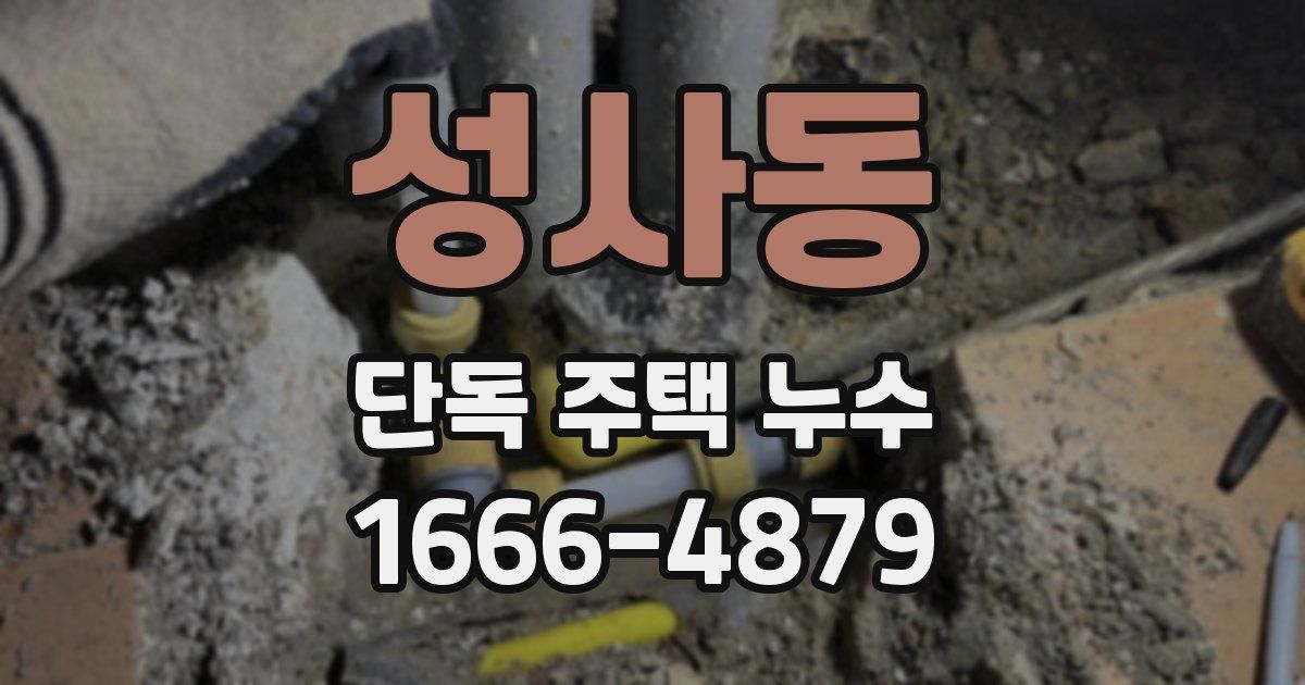 성사동 단독 주택 누수