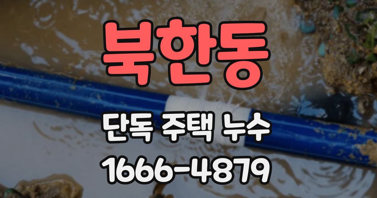 북한동 단독 주택 누수