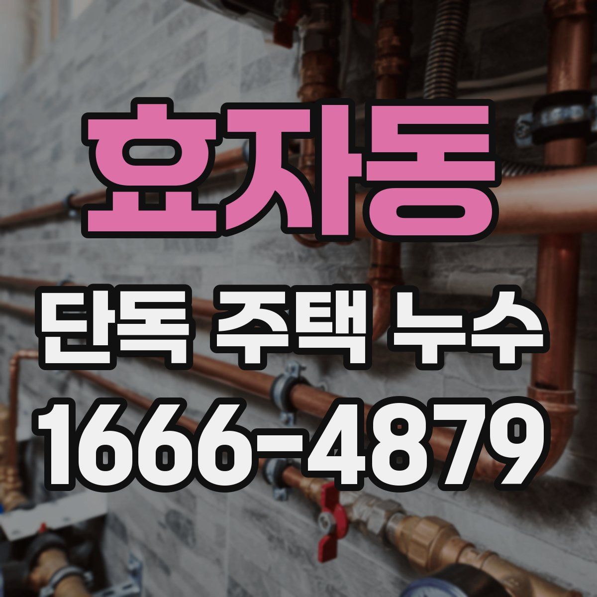 효자동 단독 주택 누수