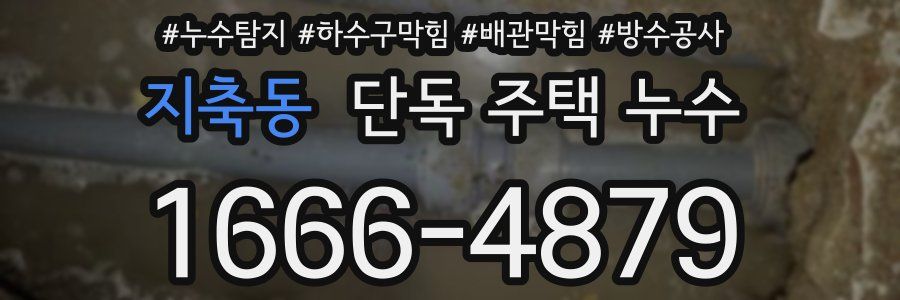 지축동 단독 주택 누수
