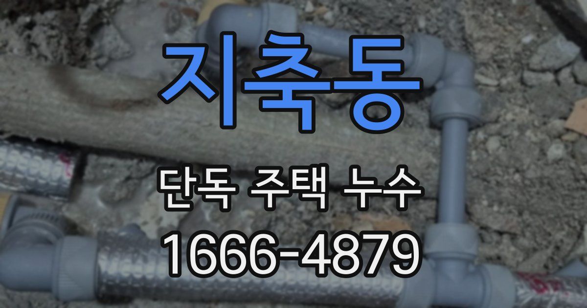 지축동 단독 주택 누수