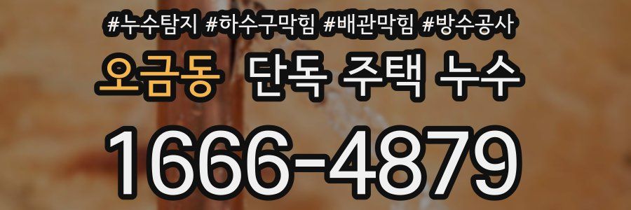 오금동 단독 주택 누수