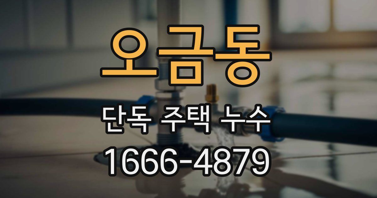 오금동 단독 주택 누수