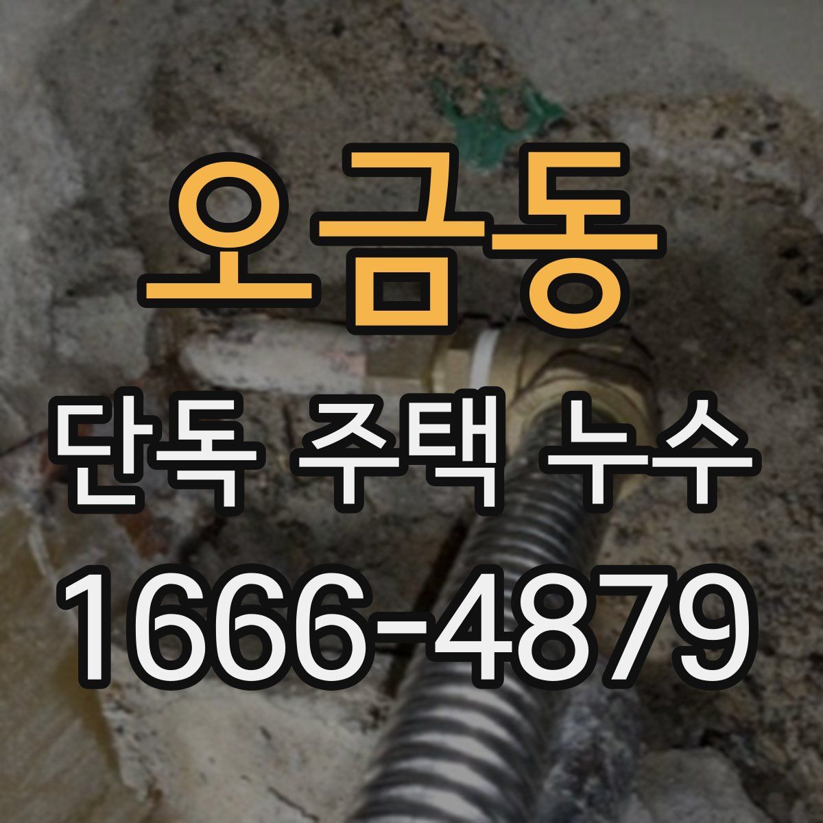 오금동 단독 주택 누수
