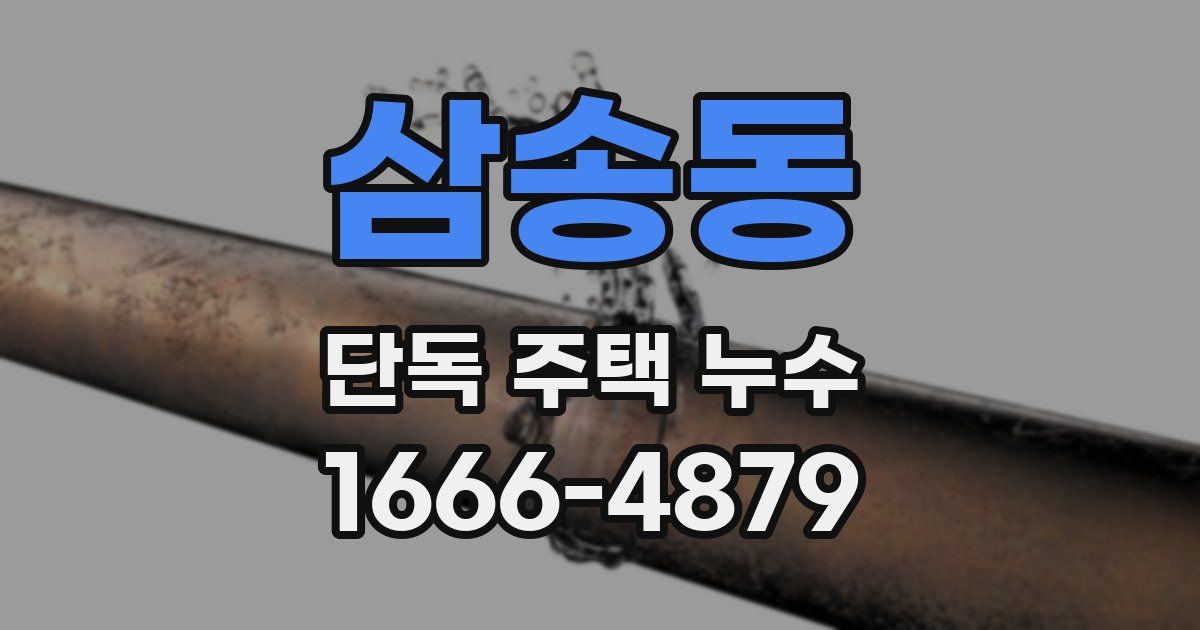 삼송동 단독 주택 누수