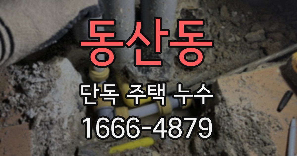 동산동 단독 주택 누수