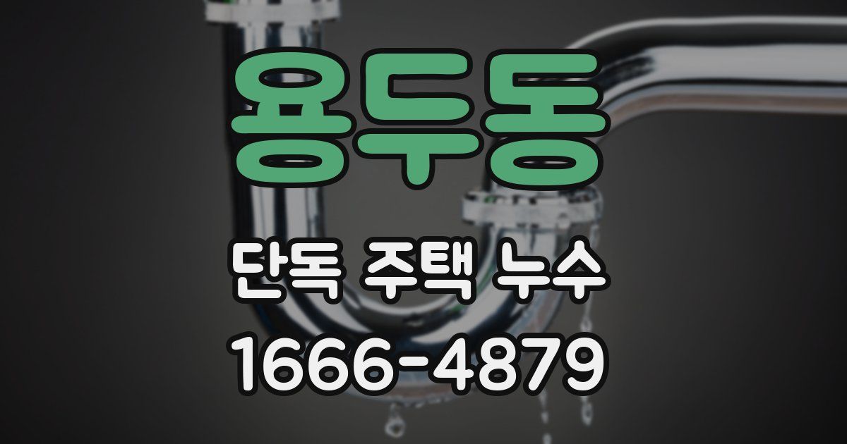 용두동 단독 주택 누수