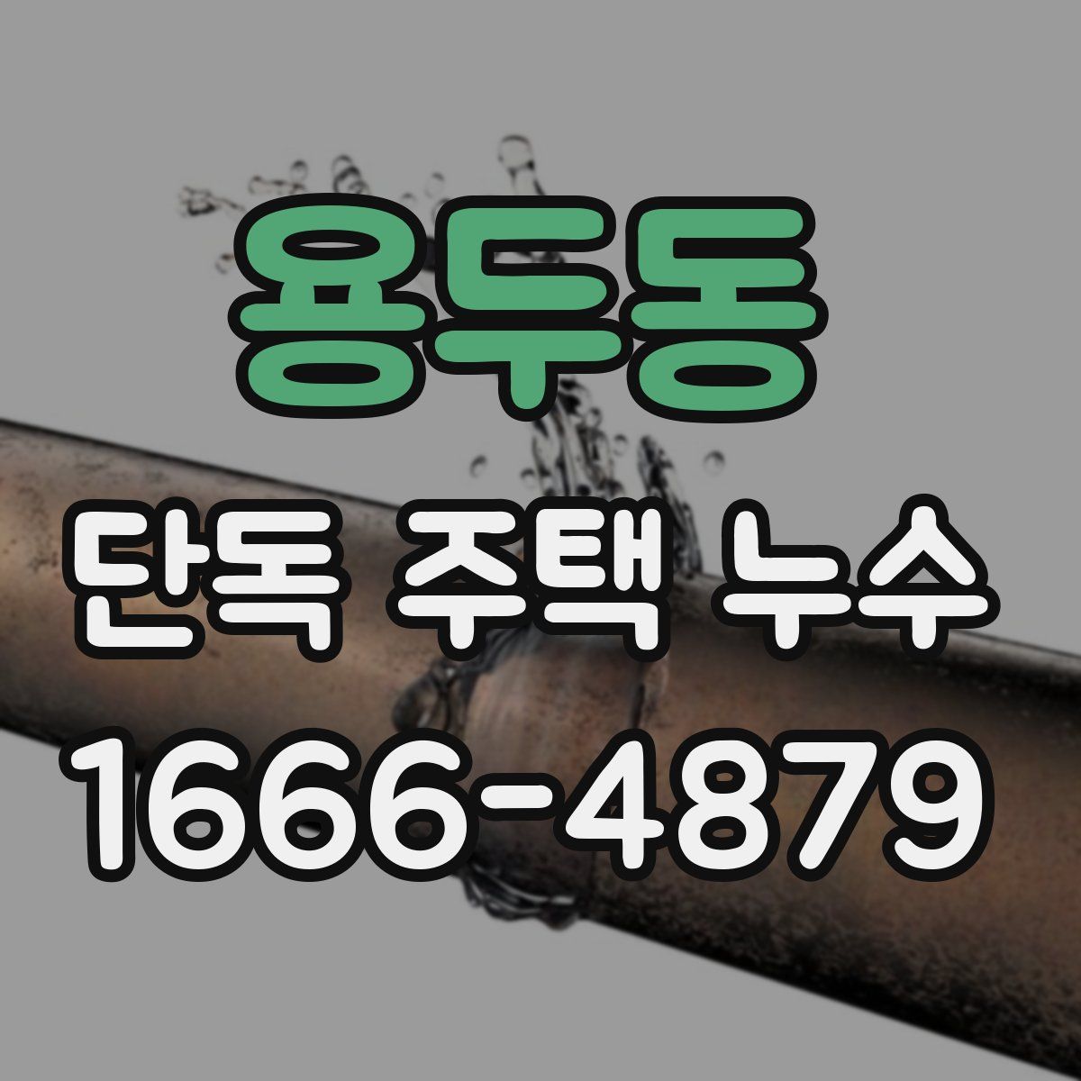 용두동 단독 주택 누수