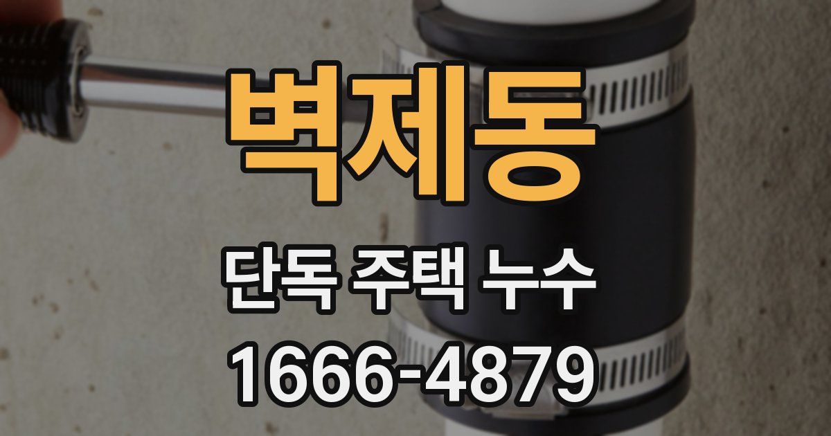 벽제동 단독 주택 누수
