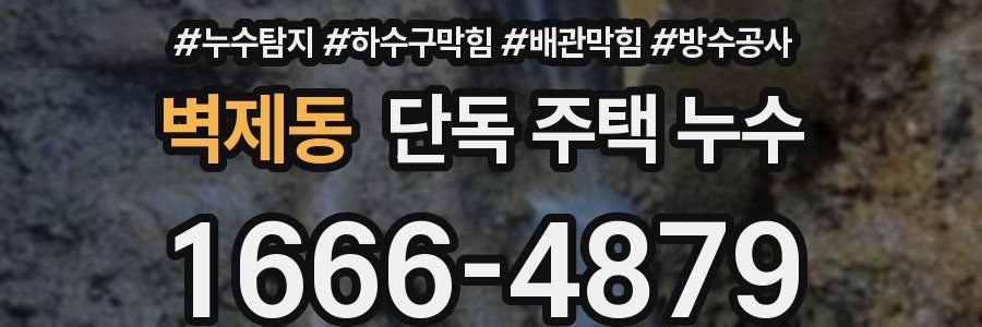 벽제동 단독 주택 누수