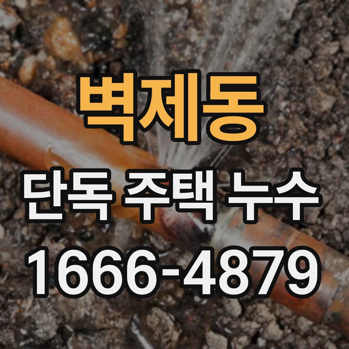 벽제동 단독 주택 누수