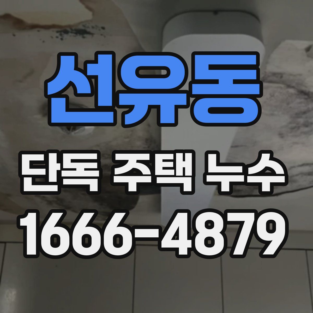 선유동 단독 주택 누수