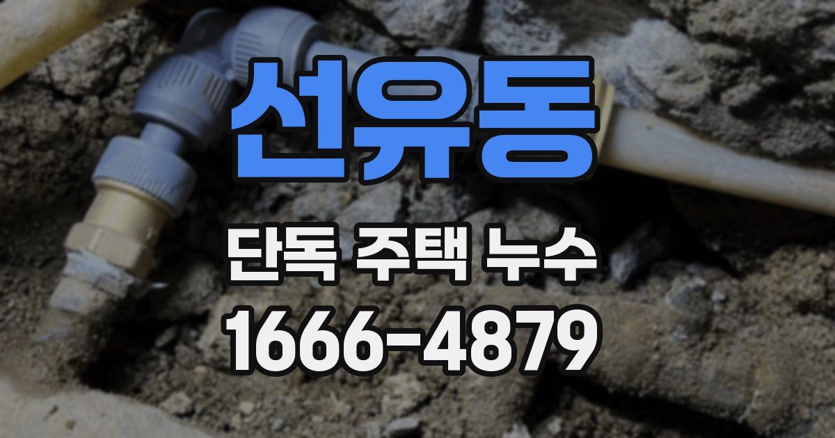 선유동 단독 주택 누수