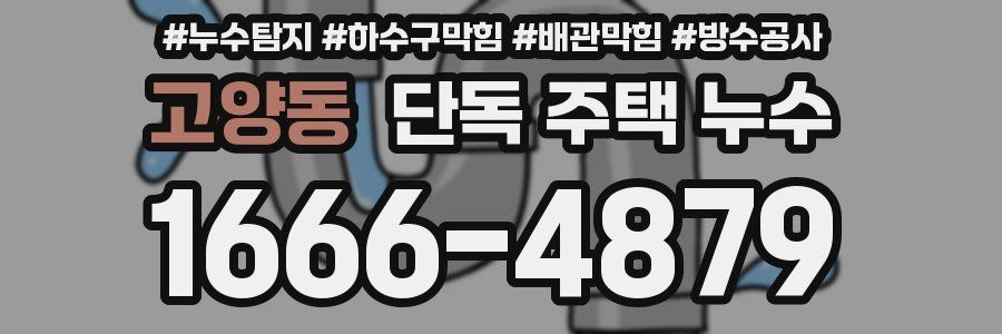 고양동 단독 주택 누수
