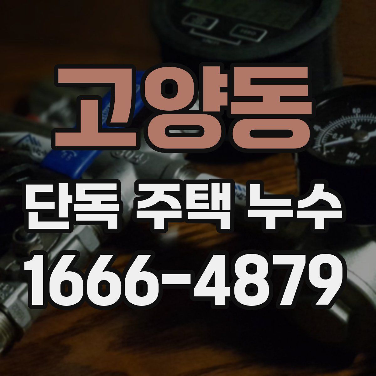 고양동 단독 주택 누수
