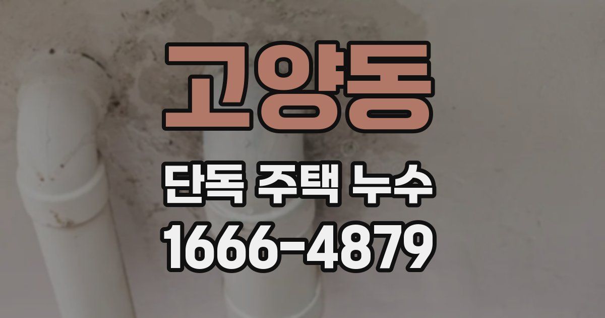 고양동 단독 주택 누수