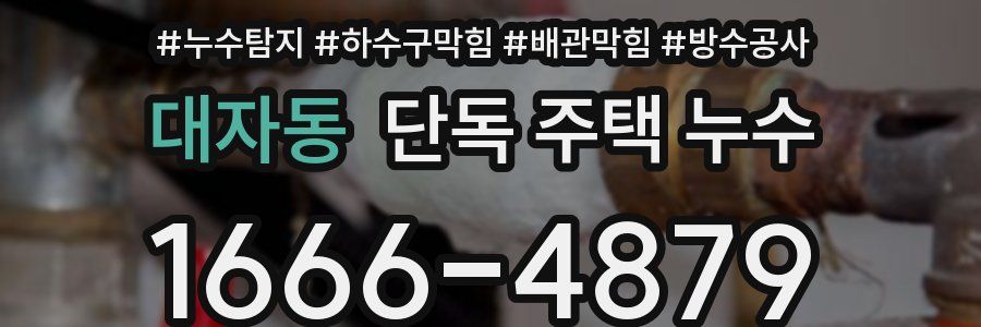 대자동 단독 주택 누수