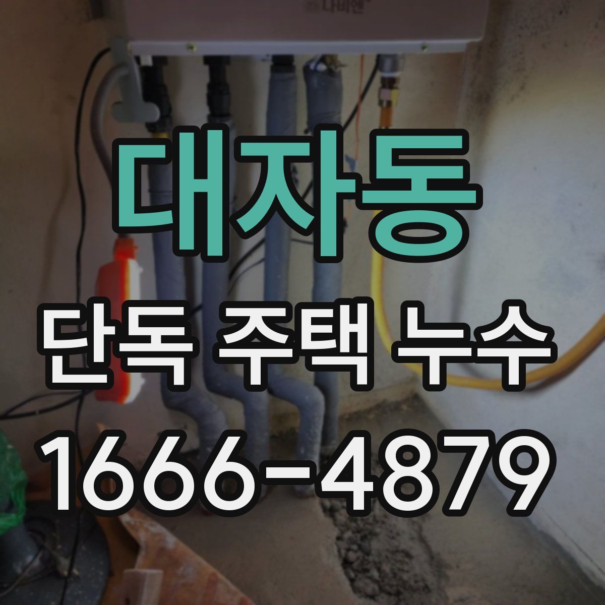 대자동 단독 주택 누수
