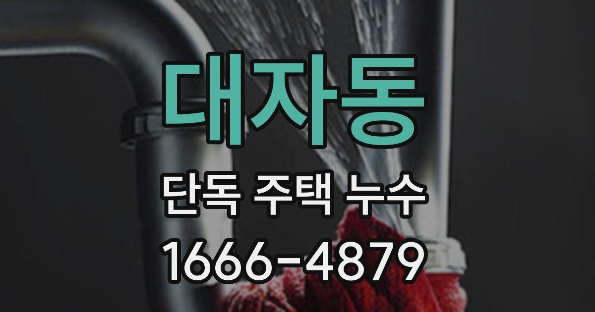 대자동 단독 주택 누수