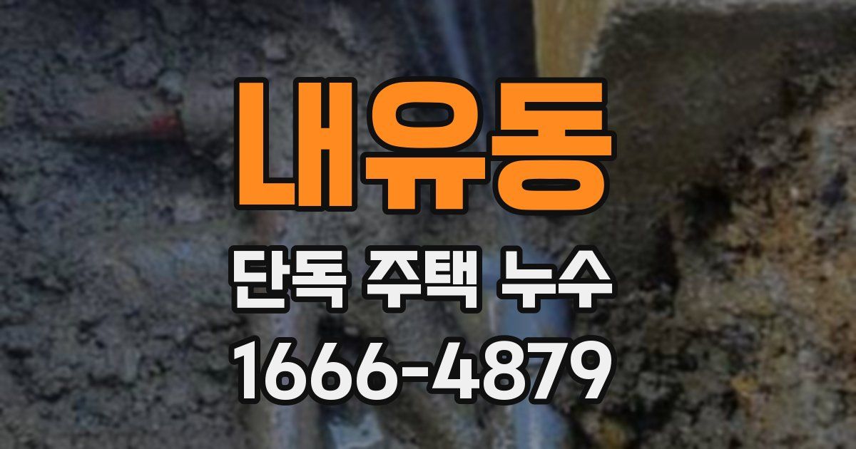 내유동 단독 주택 누수