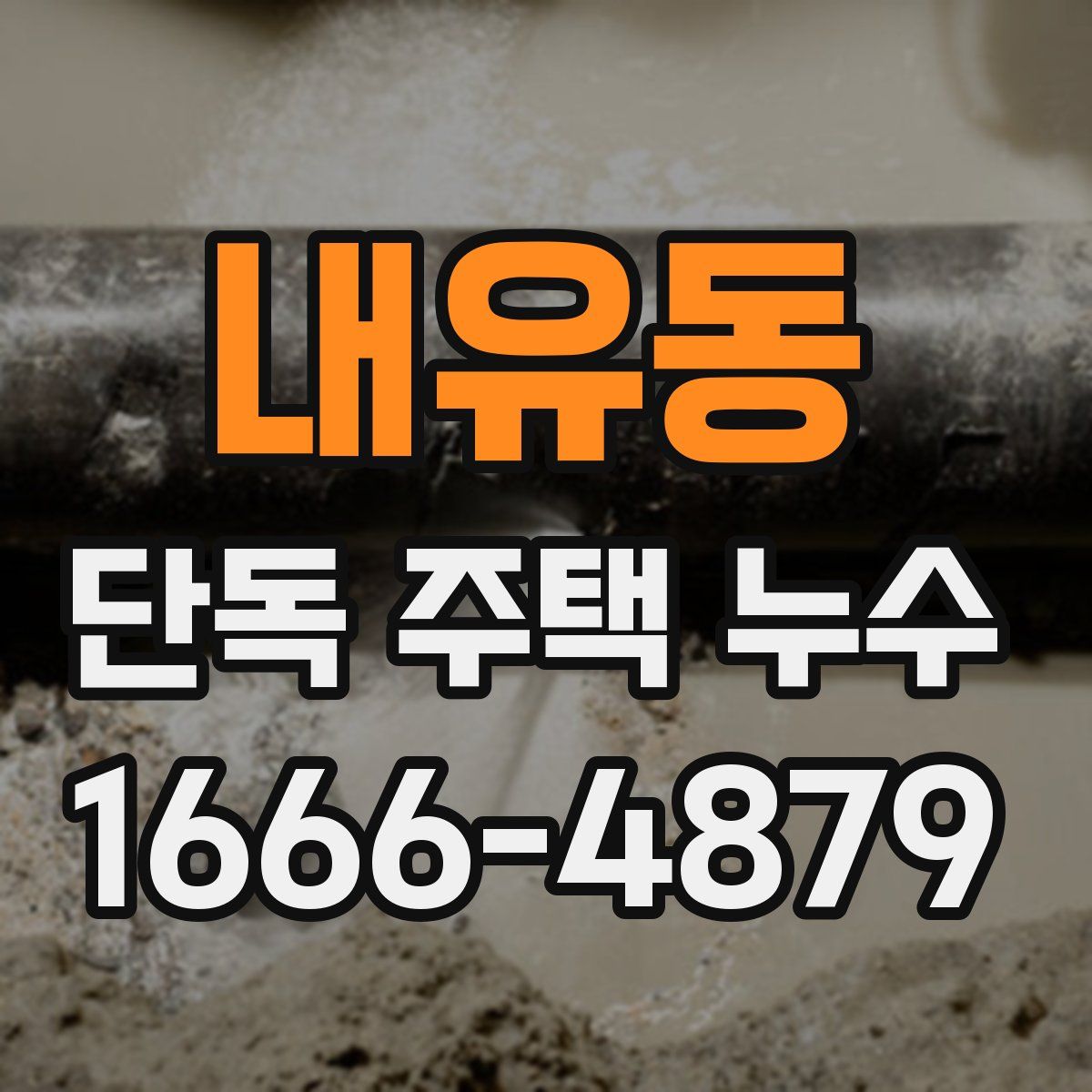내유동 단독 주택 누수