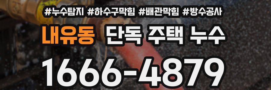 내유동 단독 주택 누수