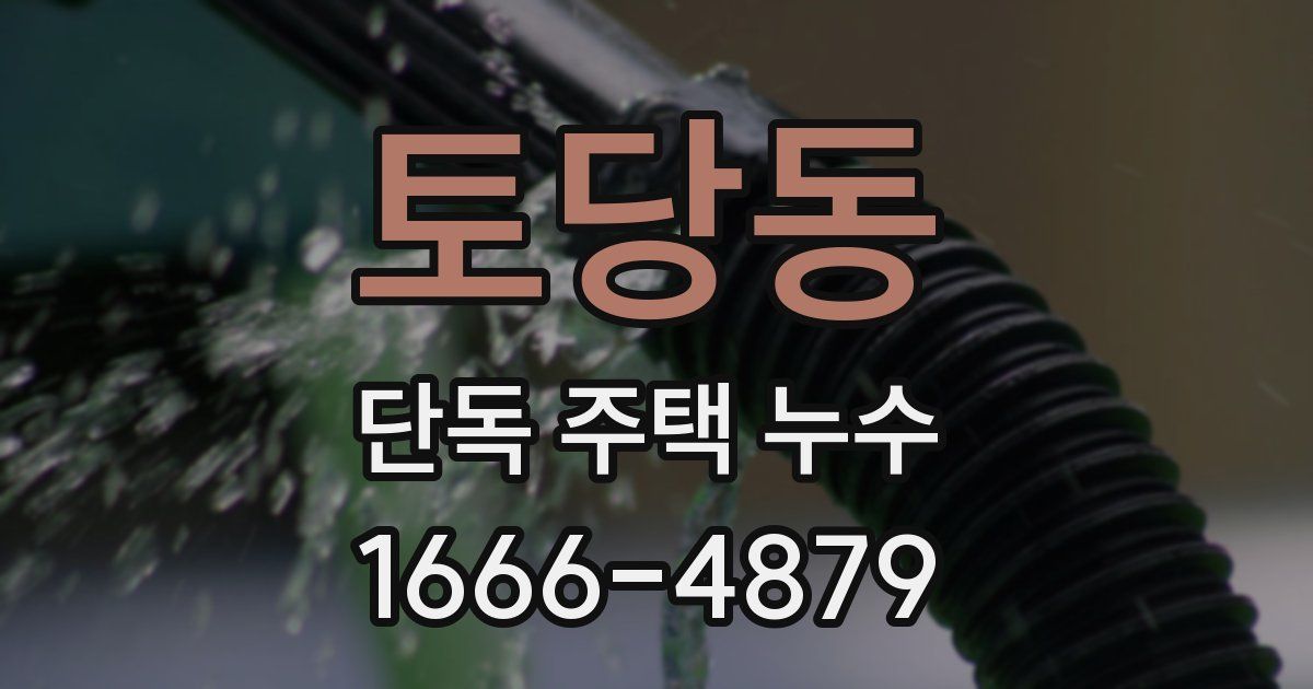 토당동 단독 주택 누수