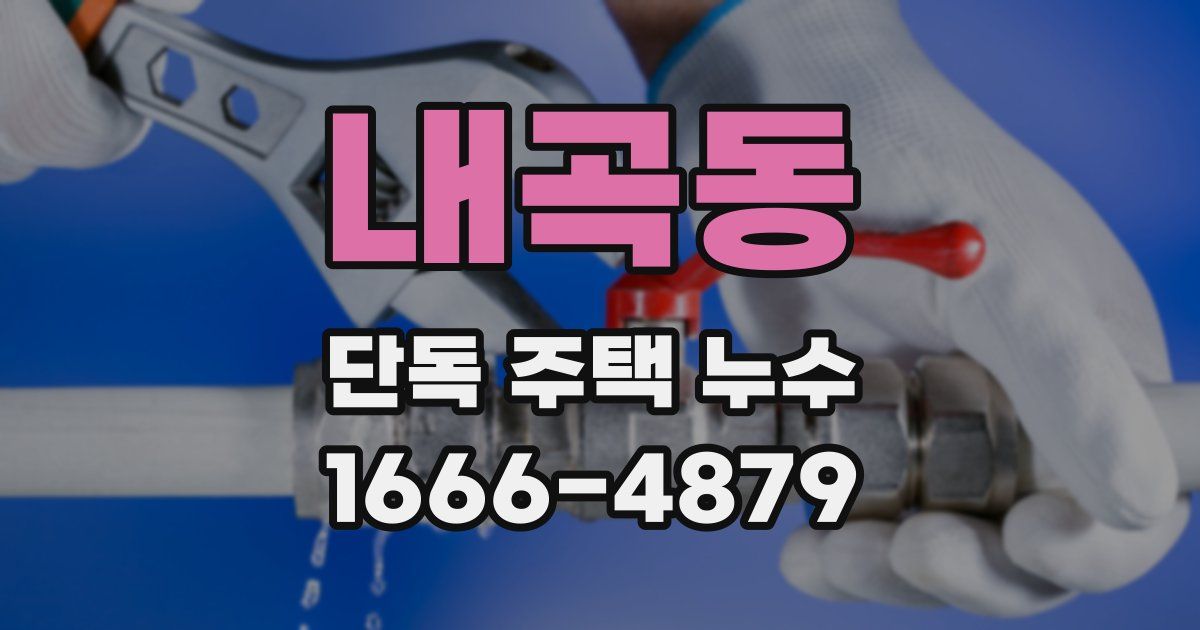 내곡동 단독 주택 누수