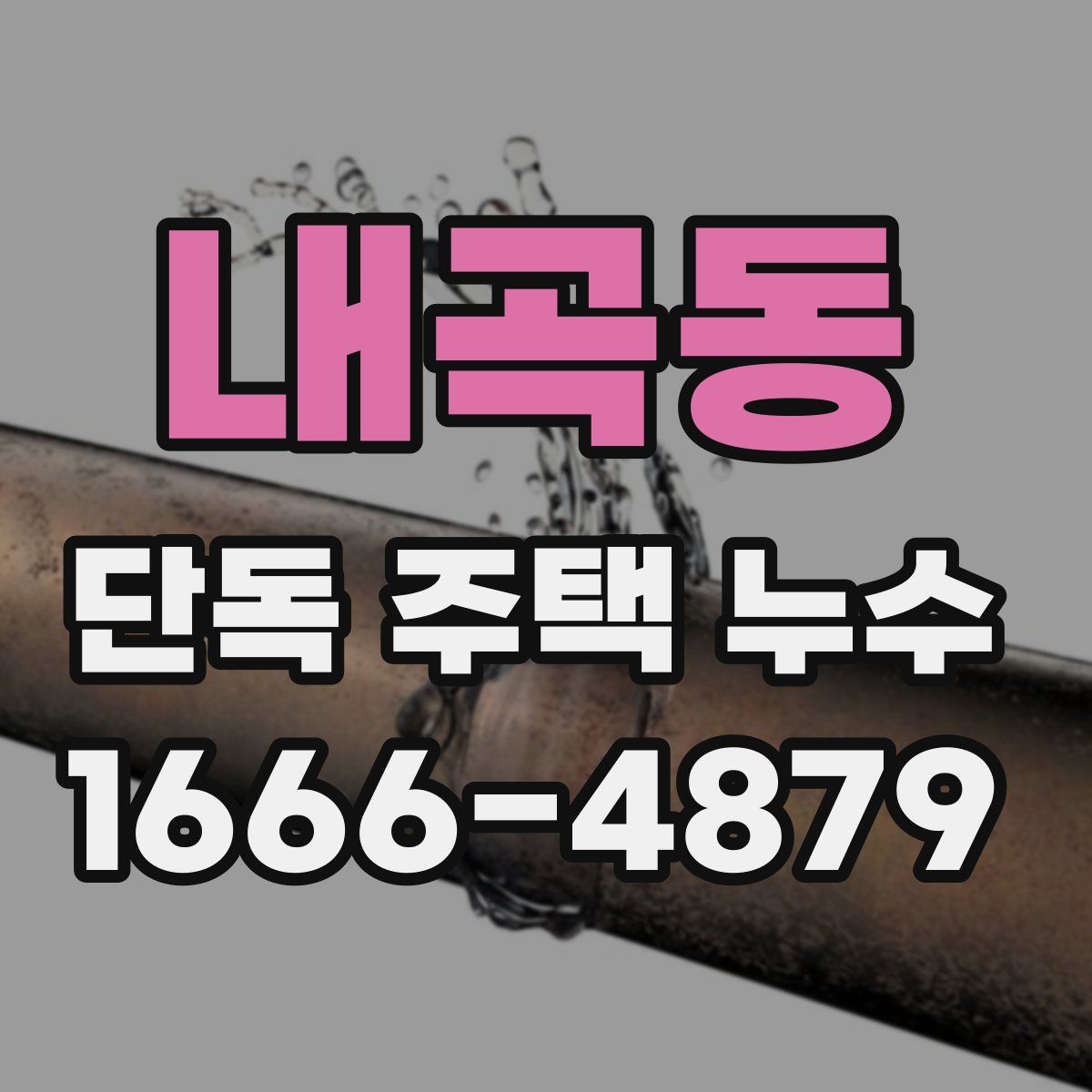 내곡동 단독 주택 누수