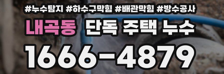 내곡동 단독 주택 누수