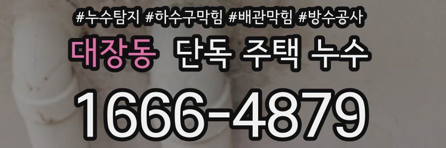 대장동 단독 주택 누수