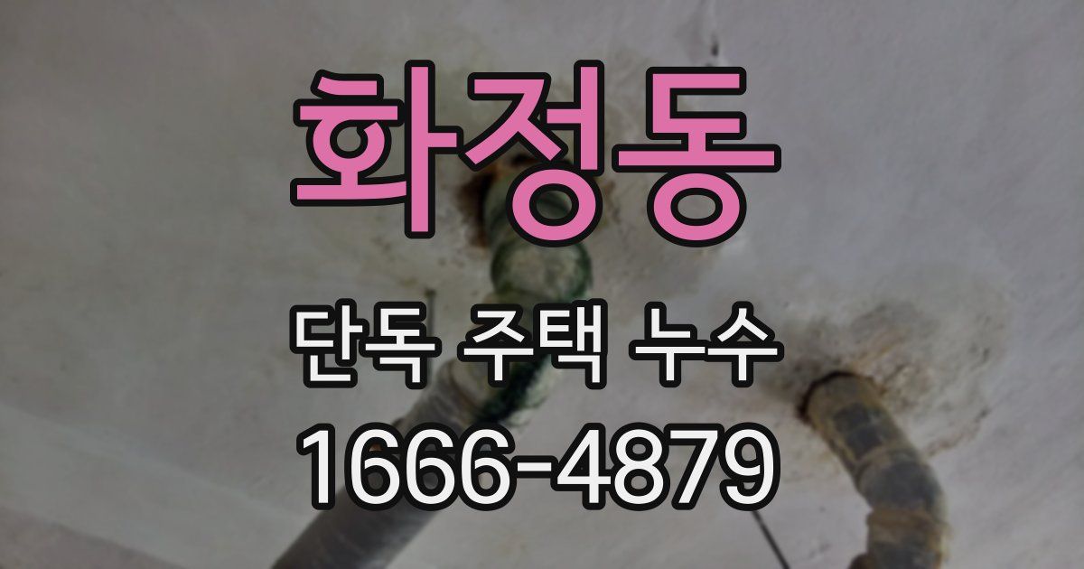 화정동 단독 주택 누수