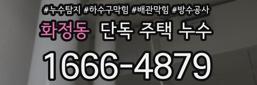 화정동 단독 주택 누수
