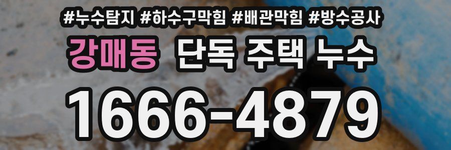 강매동 단독 주택 누수
