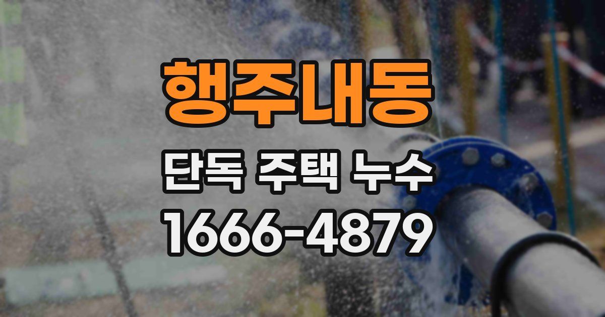 행주내동 단독 주택 누수