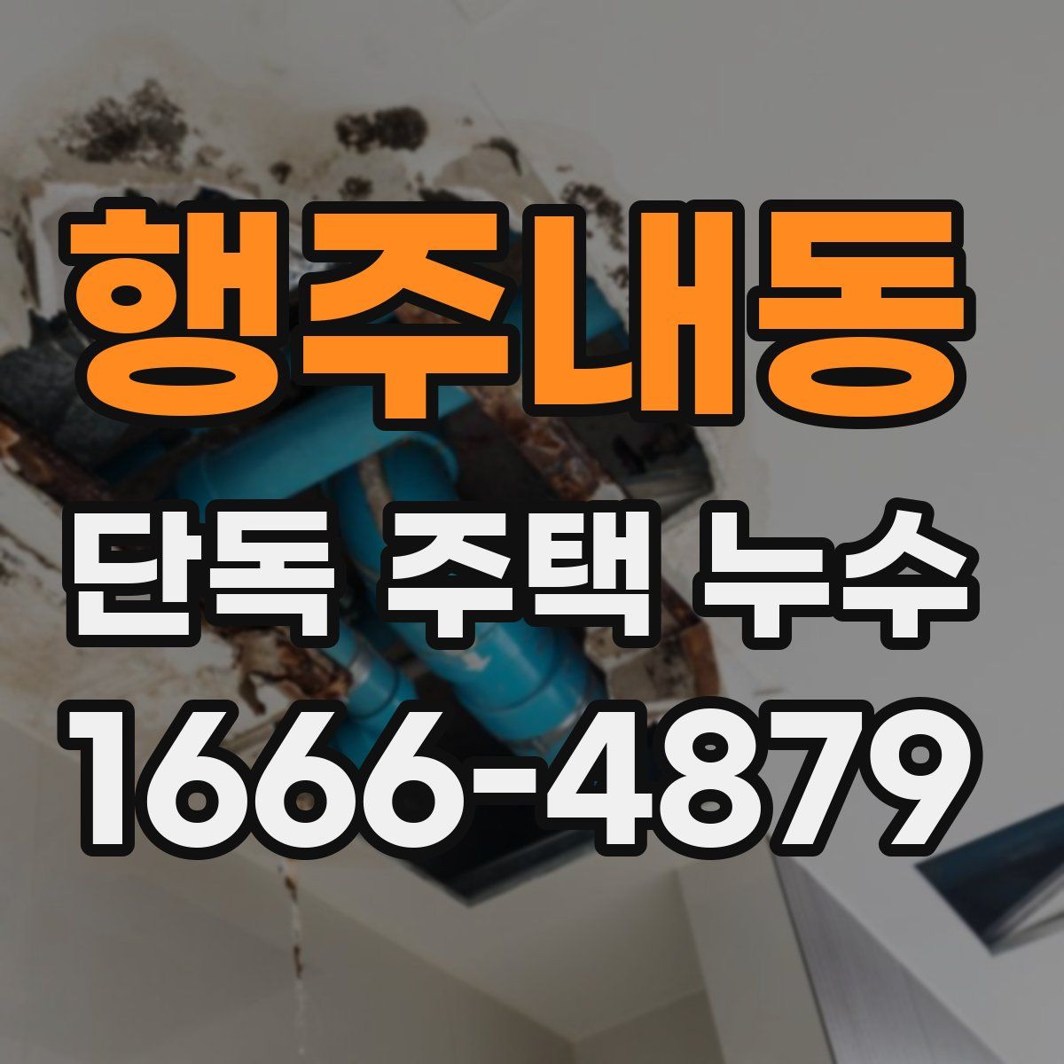 행주내동 단독 주택 누수