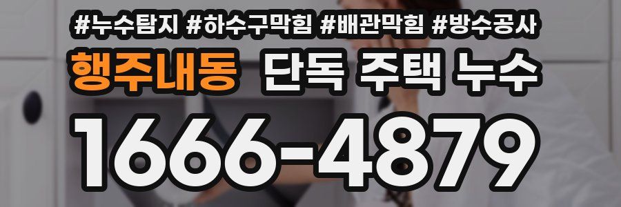 행주내동 단독 주택 누수