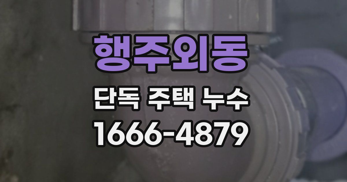 행주외동 단독 주택 누수