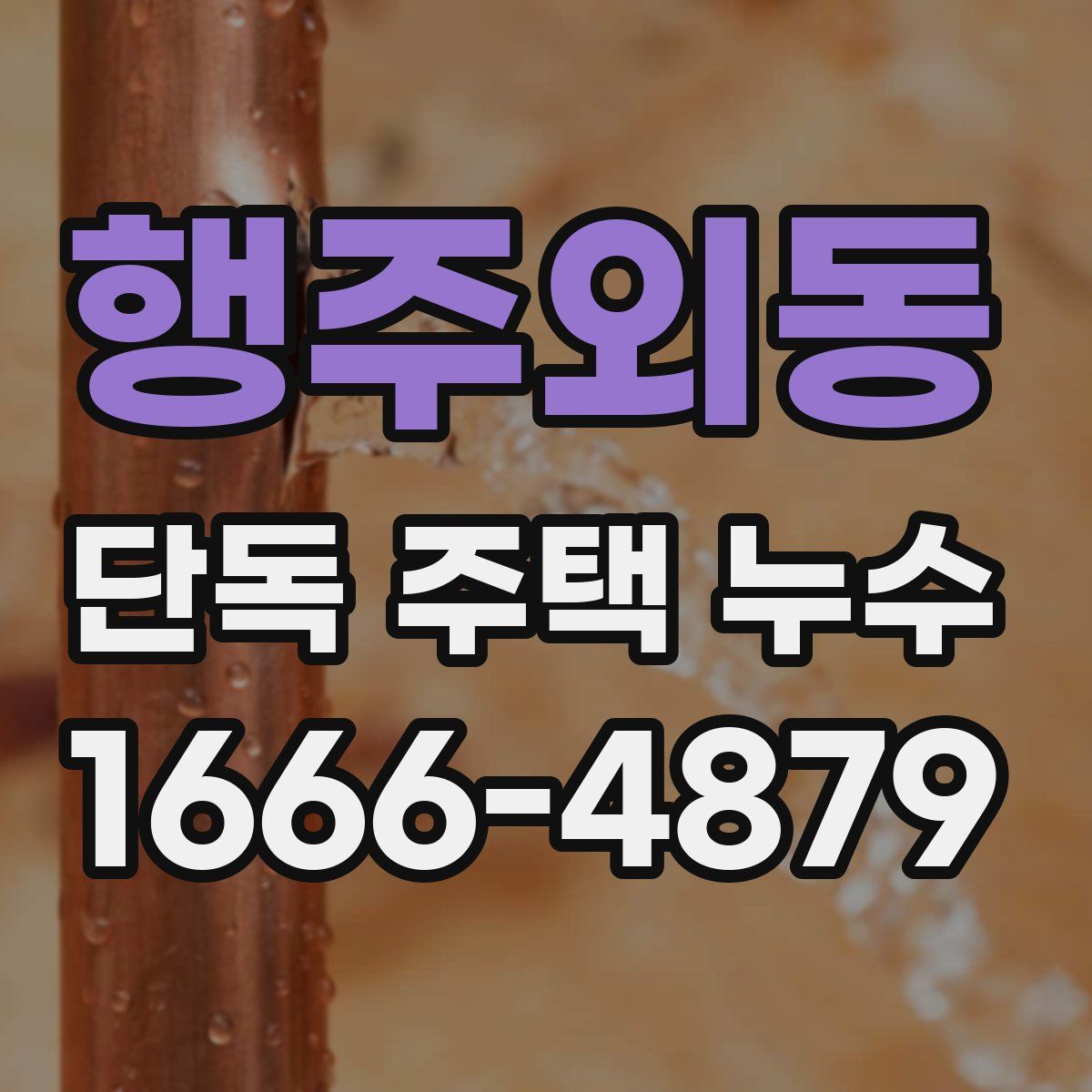 행주외동 단독 주택 누수