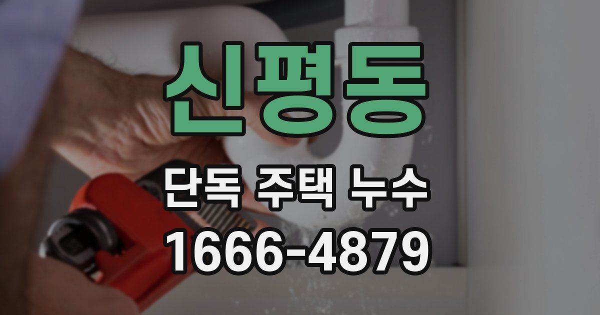 신평동 단독 주택 누수