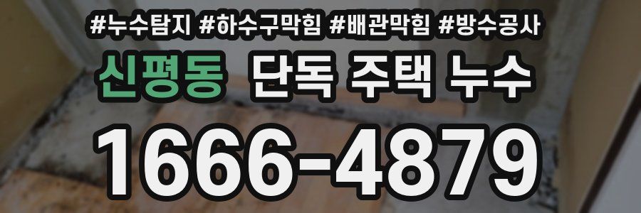 신평동 단독 주택 누수