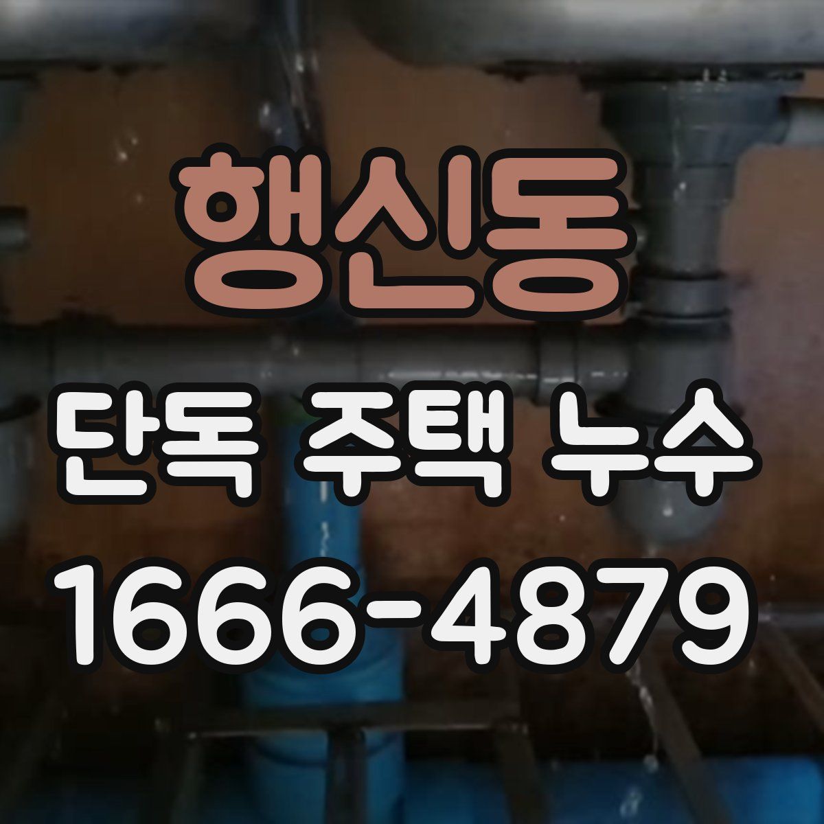 행신동 단독 주택 누수