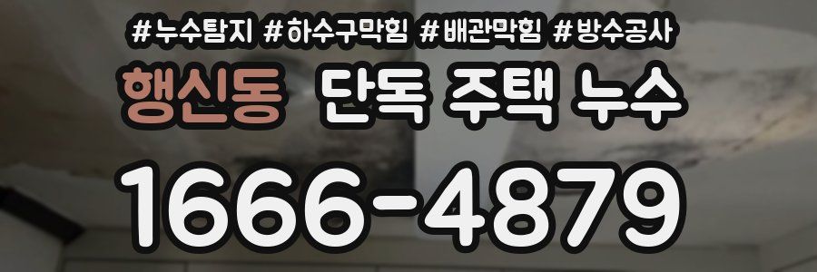 행신동 단독 주택 누수
