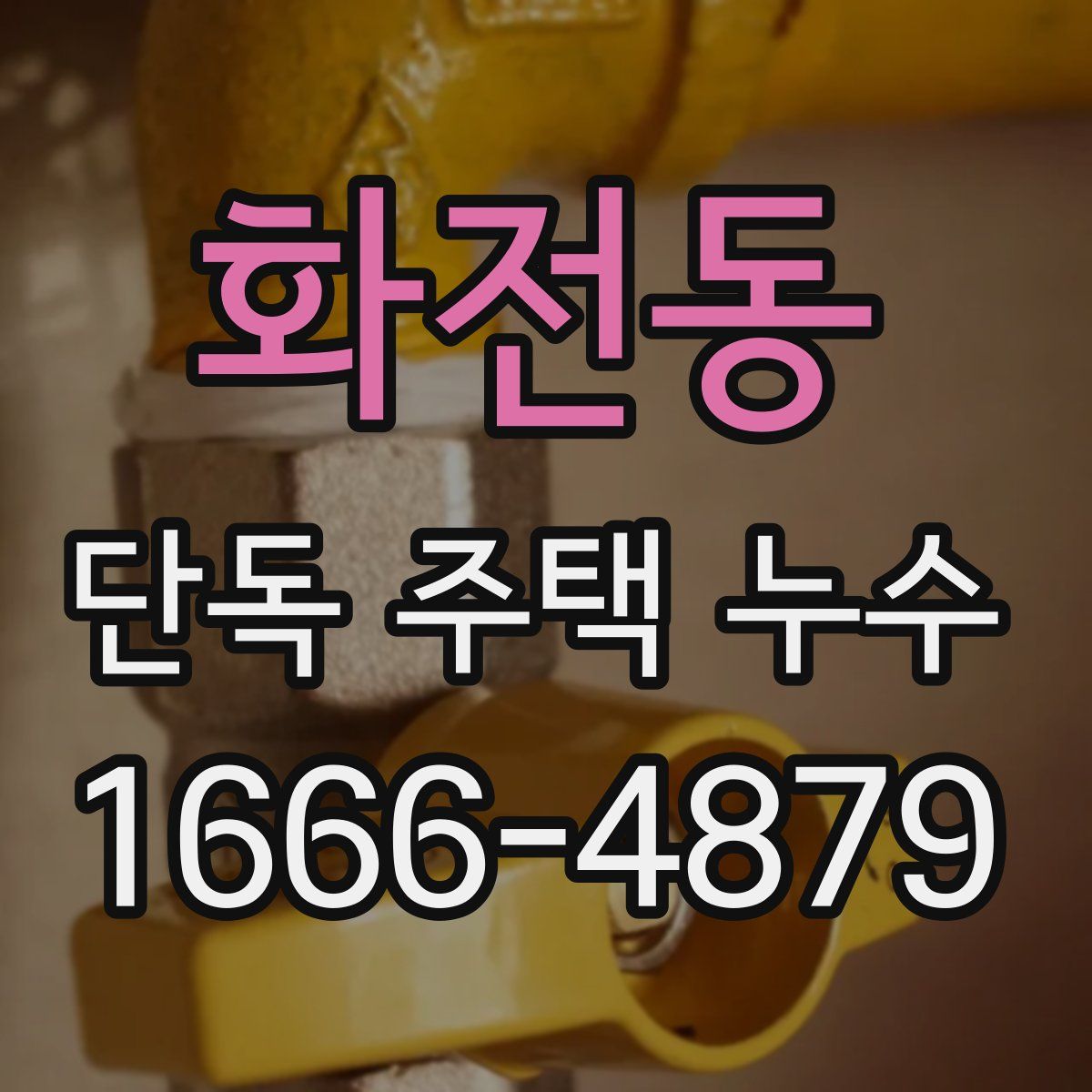 화전동 단독 주택 누수